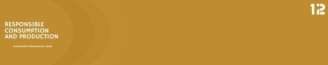 Responsible Consumption and Production